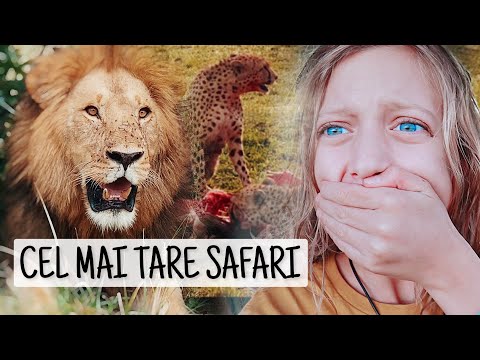 Video: 8 dintre cele mai bune cabane de lux pentru safari din Kenya