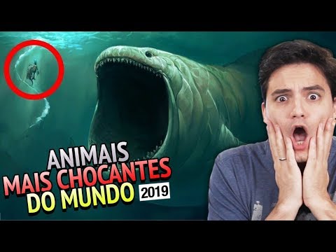 Vídeo: 10 Das Coisas Mais Estranhas Que Você Pode Comer Na América Latina - Matador Network