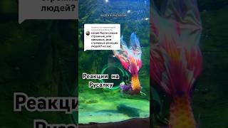 Реакции на русалочку #русалочка #шоурусалок #русалка #работарусалкой #океанариум ##корея