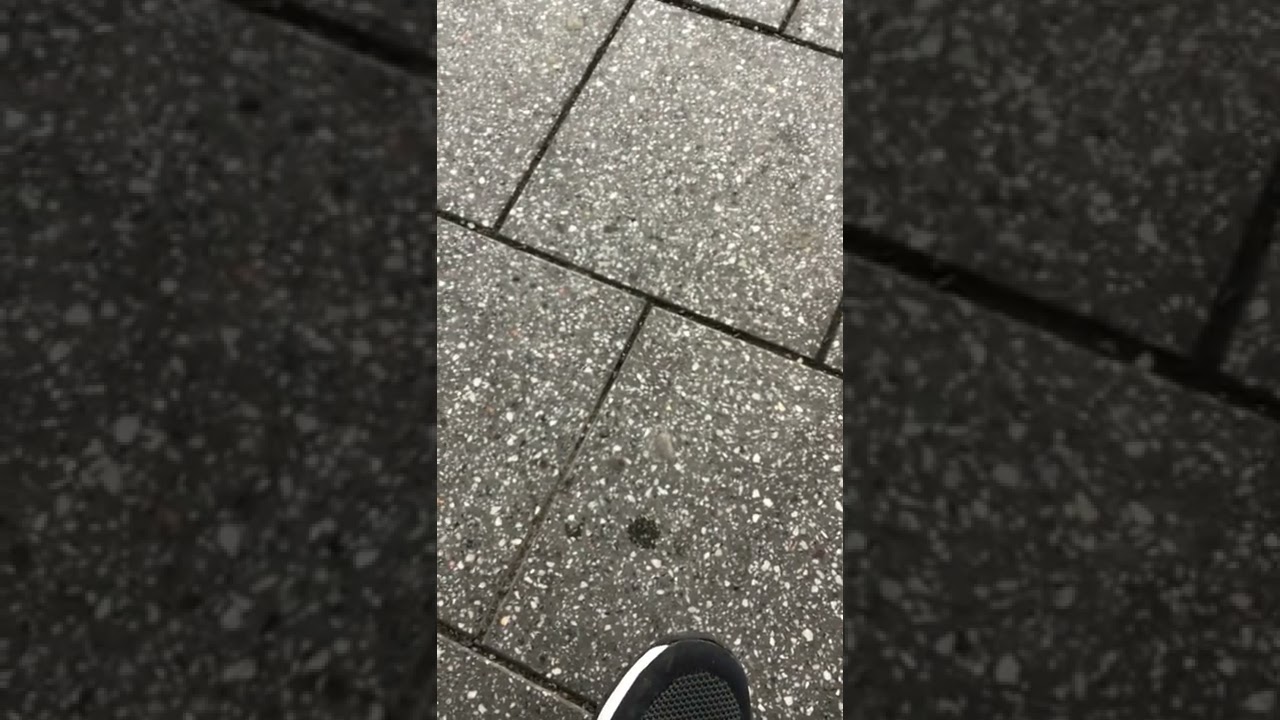 Corona-Ansage in Speyer Hbf. (Heiko Grauel)