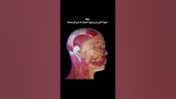 #quran #اكسبلور #الرحمن #foryou #القرآن_الكريم #المصحف #تلاوة_خاشعة #اسلام_صبحي