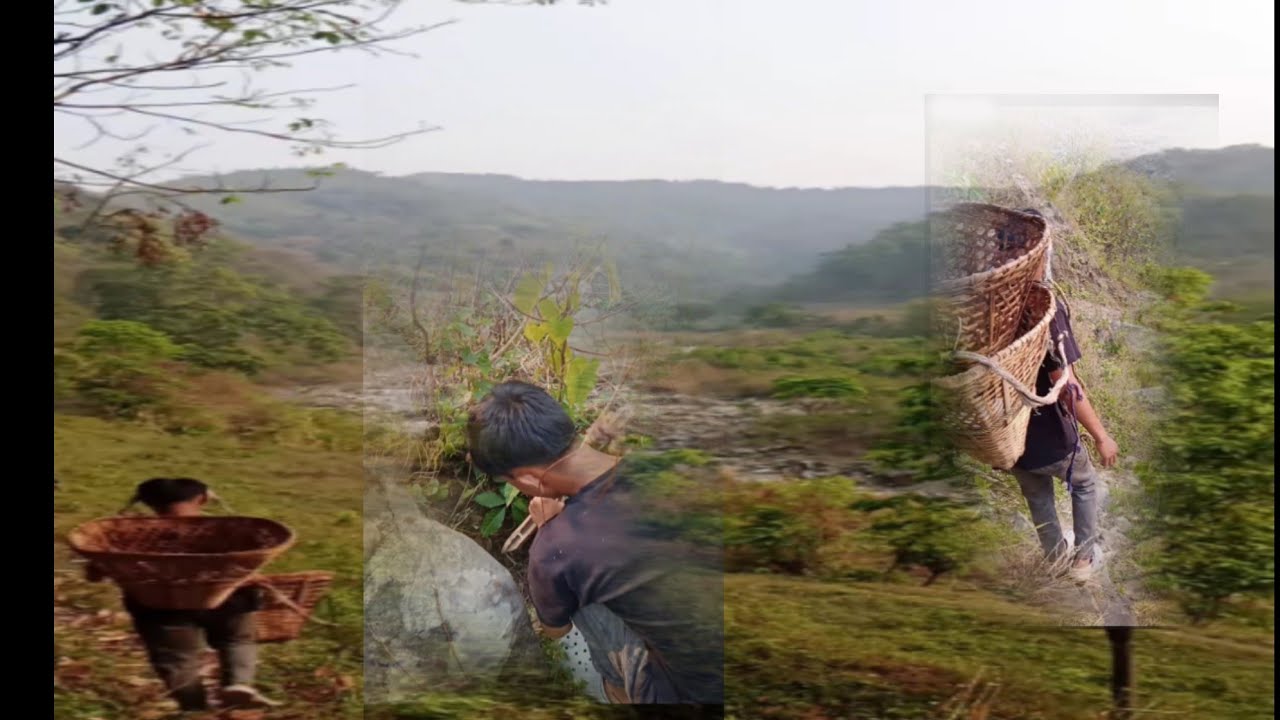 Nepali ///tarul //(khalo))) - YouTube