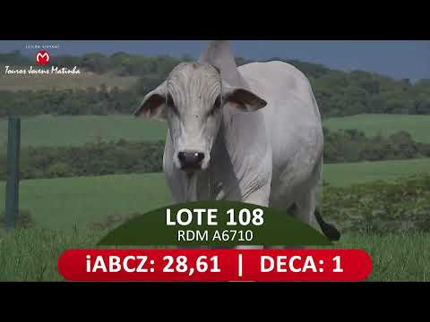 LOTE 108