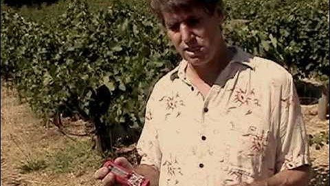 Winemaker Video Blog #3- Testing Grape Ripeness