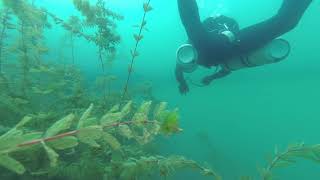 Velenjsko Jezero Potop - Avgust 2020