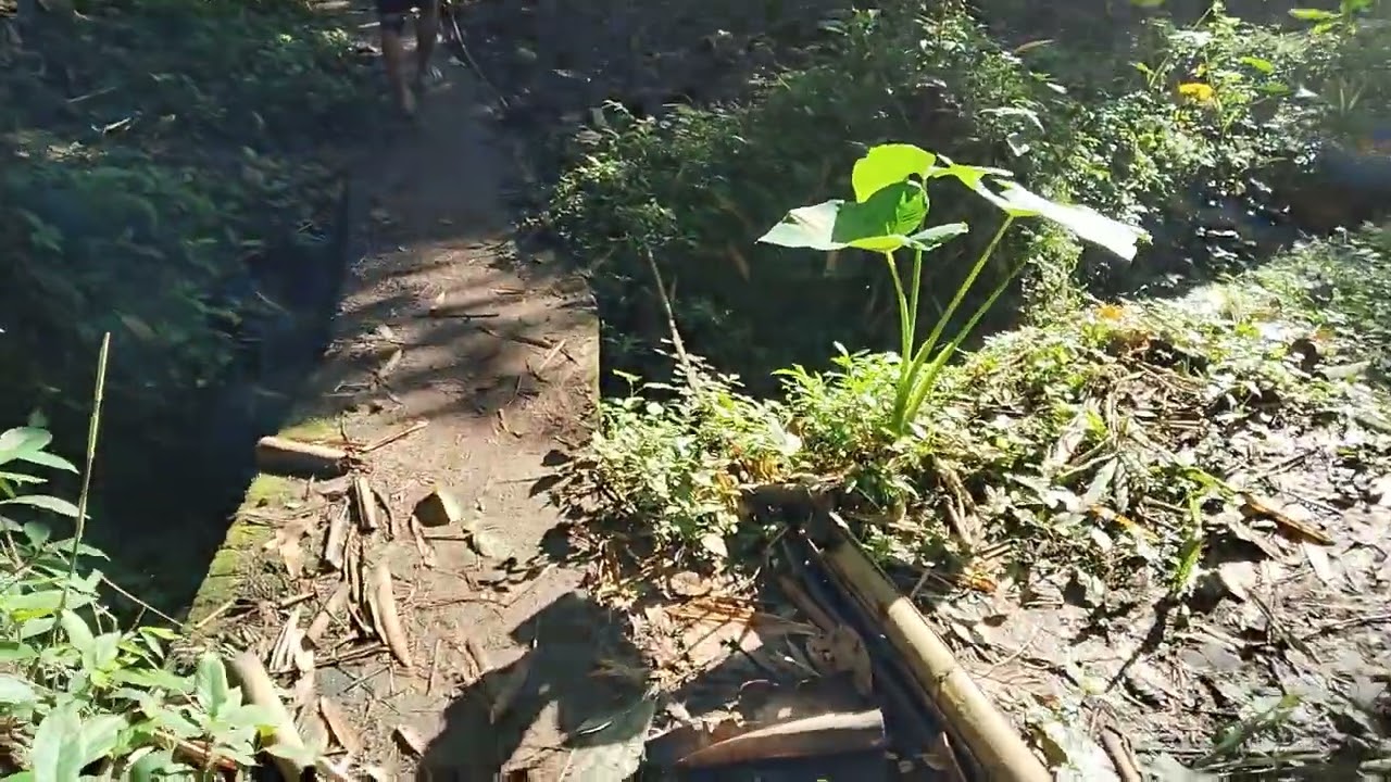 PROPERTY FOR SALE LOCATED IN LILIW LAGUNA / 500 PER SQ.M ( SLIGHTLY NEGOTIABLE PA ) 