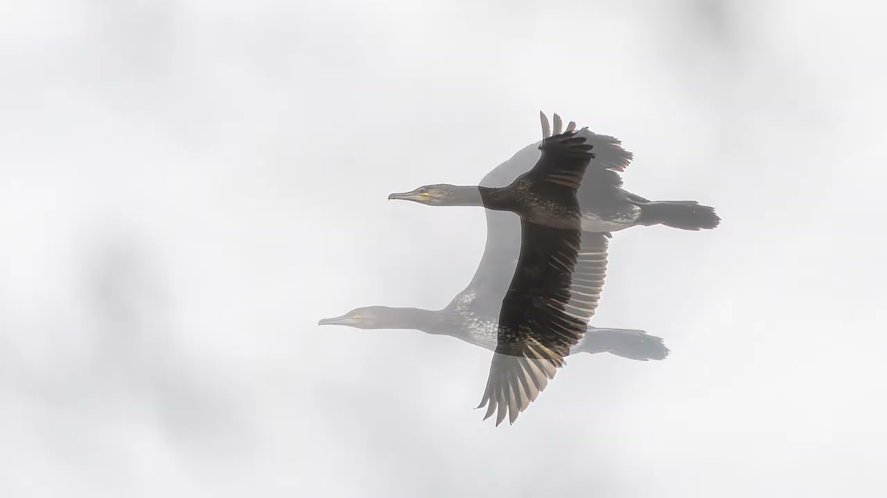Teich - Fahrrad - Aufnahmen - Fototagebuch 20.2.2026