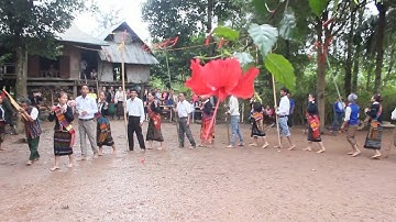 Độc đáo Lễ hội mừng lúa mới của đồng bào Vân Kiều, Pa Kô ở Quảng Trị