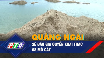 Quảng Ngãi sẽ đấu giá quyền khai thác 08 mỏ cát | PTQ