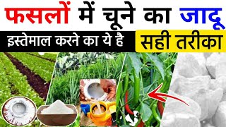 खत म चन क सह परयग Kheti Me Chuna Ka Upyog Chune Ke Fayde Chune Ke Fayde Aur Nuksan