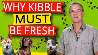 How Long Does Dry Dog Food Last (5 Ways to Keep Dry Dog Food Fresh)