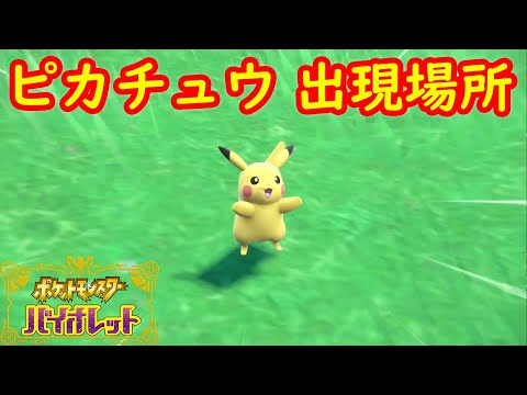 ポケットモンスタースカーレット ピカチュウ(001/SV-P)付き