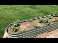 Central Kentucky raised bed vegetable garden and fruit tree update
