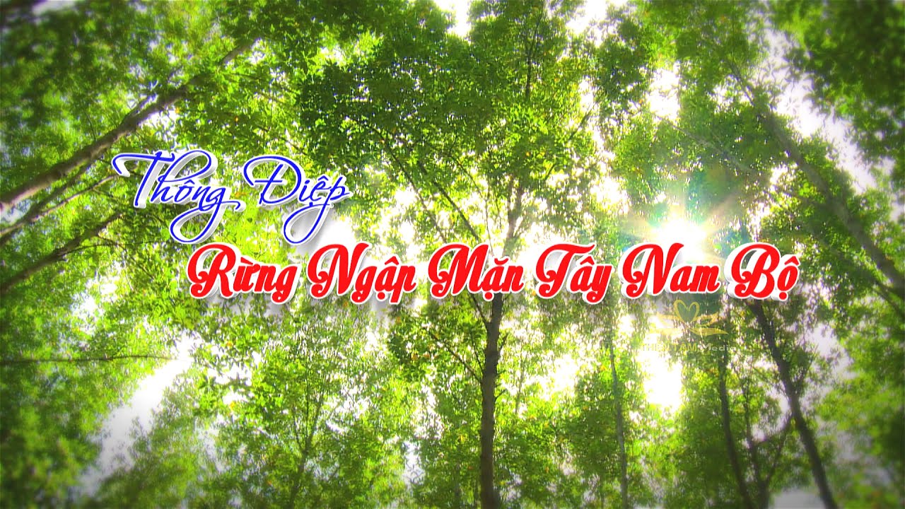 Thông Điệp Rừng Ngập Mặn Tây Nam Bộ - youtube