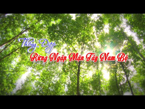 Video Thông Điệp Rừng Ngập Mặn Tây Nam Bộ - youtube