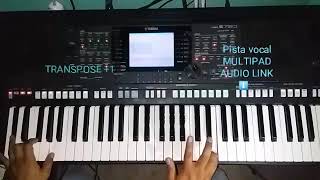 Ritmo Merengue Mi tonto amor de Toño Rosario YAMAHA PSR S750 con &quot;Audio Link&quot;