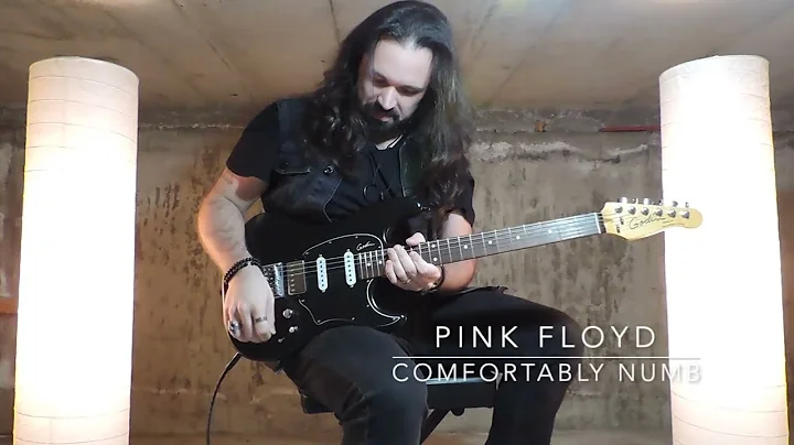 Pink Floyd - Comfortably Numb (both solos) - Rober...