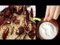 How to get rid of cockroaches fast in kitchen cabinets – with Natural home remedies