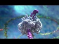 How do vaccines work?  AFP - YouTube