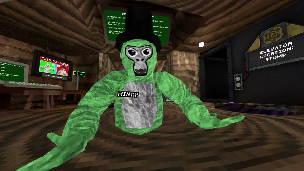 IDK WHAT TO PUT HERE | Gorilla Tag |