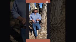 Que se junten nuestros brazos