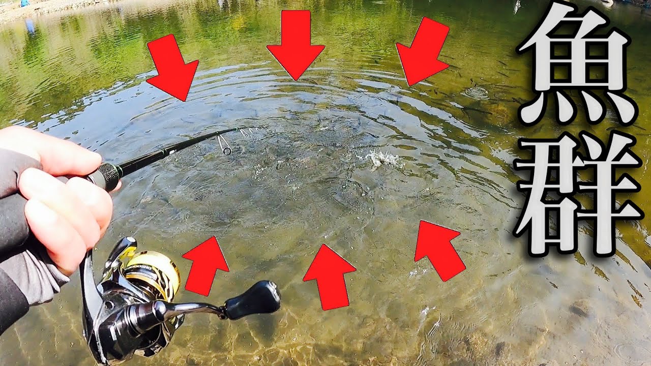 【ずっと釣れる！】怒涛の魚影と大物！おくとねフィッシングパーク釣行【エリアトラウト　管理釣り場】