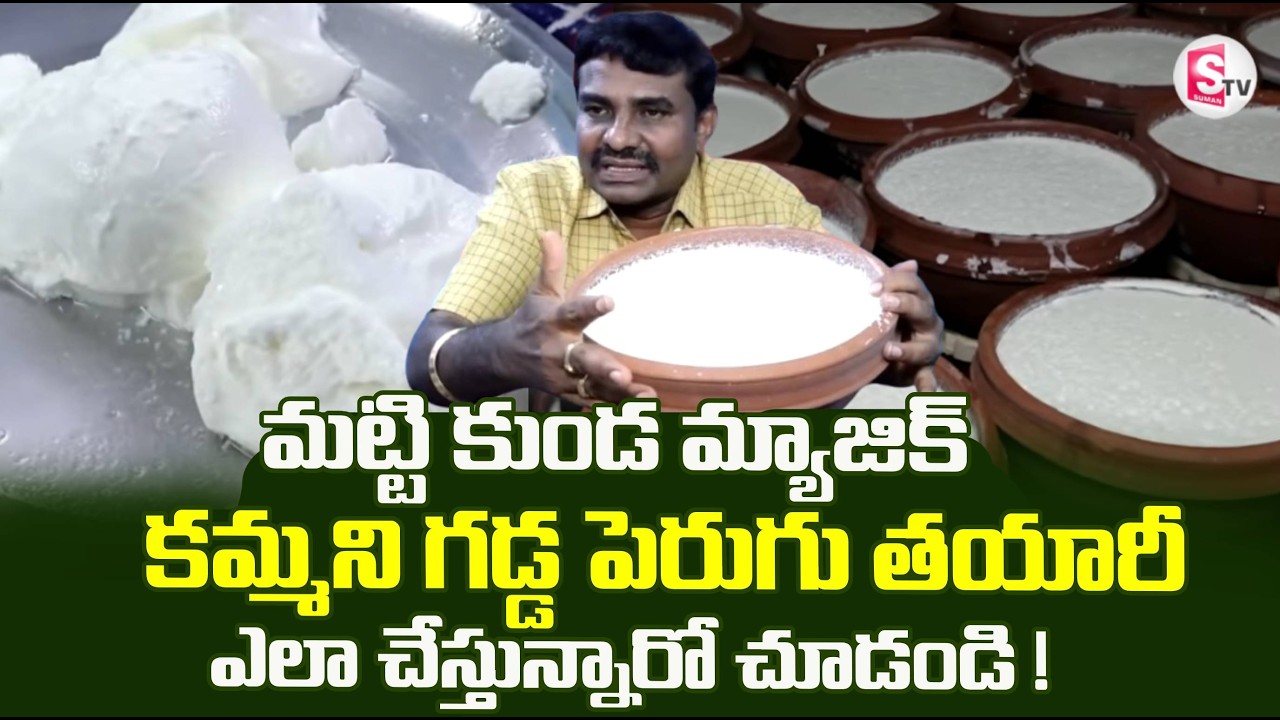 కుండ పెరుగు తయారీ..| Curd Making In Pot | Clay pot curd benefits | @SumanTVRythu