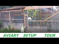 My Aviaries The Grand Tour - Budgies, Finches Doves and Canary Aviary Setup