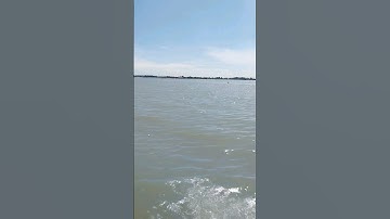 câu cá cồn ấu. @DỡVlog65.  #tamtrang ...❤️❤️