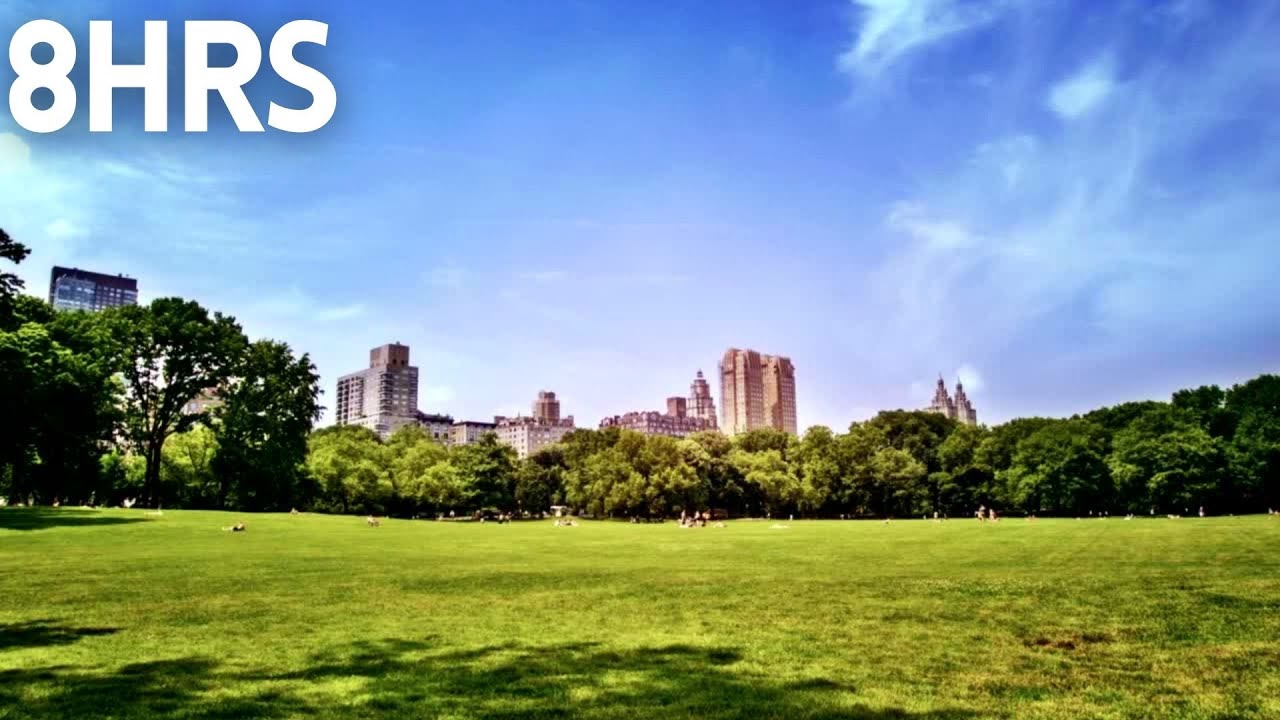 Central Park Ambience - Birds + Traffic - 8 hours