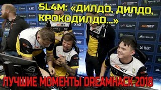 🔴SL4M УГАРАЕТ; S1MPLE НЕ ДАЛ СЕБЯ ЗАРЕЗАТЬ; ЛУЧШИЕ МОМЕНТЫ DREAMHACK 2018