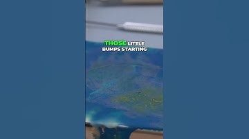 Introduction to Encaustic, Part 1 - How To Get Started | Jerry