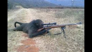 3v3 Snipers lol Feat.MODERN MONKEY