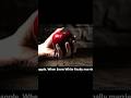 The REAL Snow White Story Is Disturbing