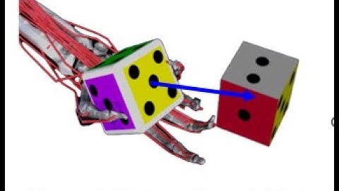 Bi-DexHands Towards Human-Level Bimanual Dexterous Manipulation