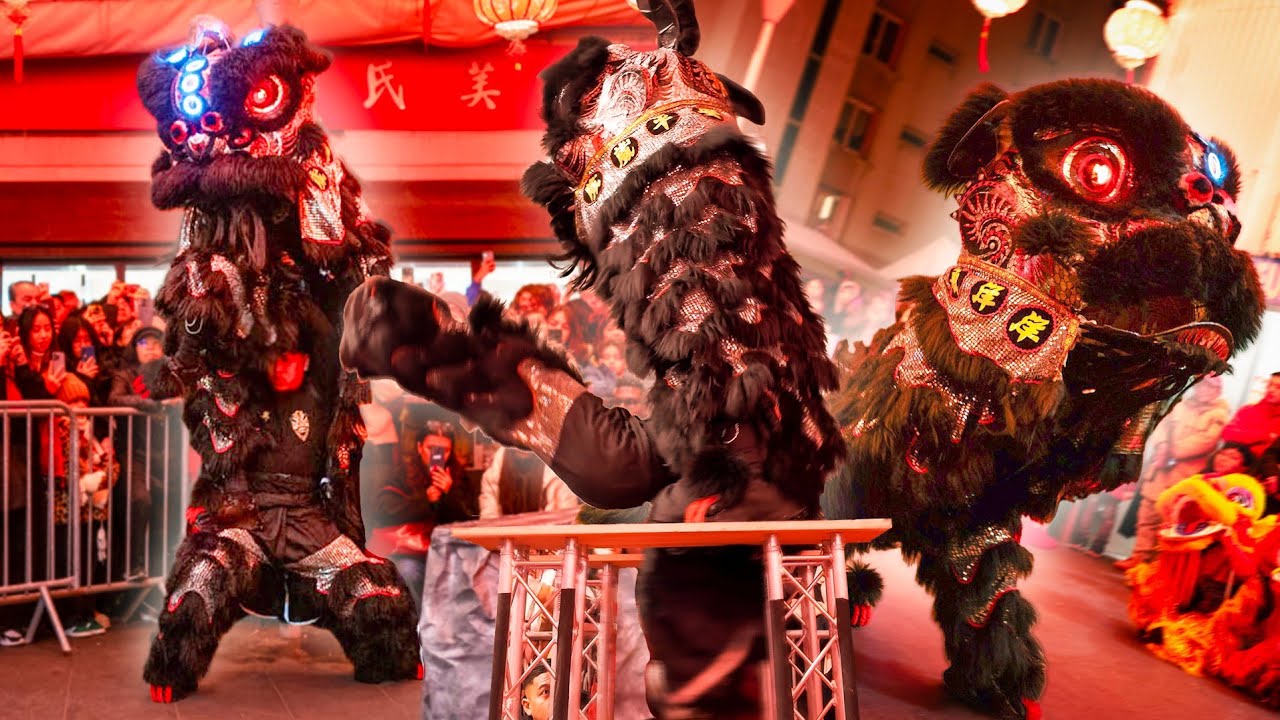 Lion Dance Franco Asiatique 英武堂 (LDFA) - CHINESE NEW YEAR 2025 - Tang Frères PARIS XIII - Théo & Jo