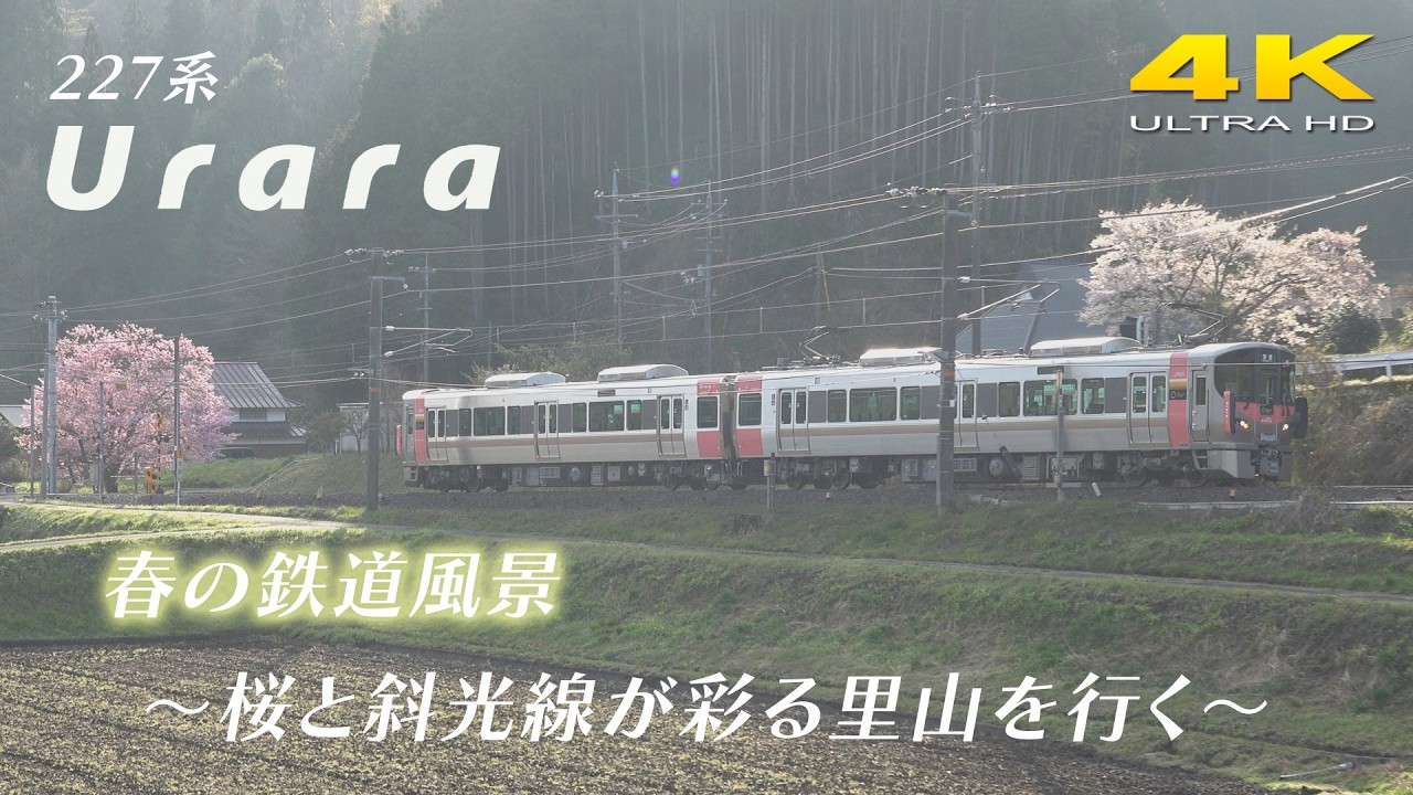 227系 Urara 桜咲く春の伯備線を行く - YouTube