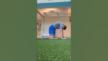Quadruped Spinal Flexion Stretch
