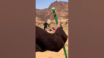 هجوم الناقه اكسبلور 