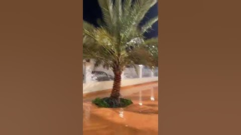 تلاوة عطرة #القرآن_الكريم #تلاوة_خاشعة #القرانالكريم #تلاوات
