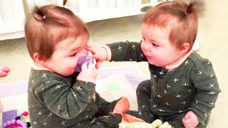 Best Videos Of Funny Twin Babies Compilation