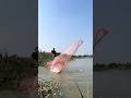 River canel castnet fishing time with fishing net #fishing #rells #viral #foryou