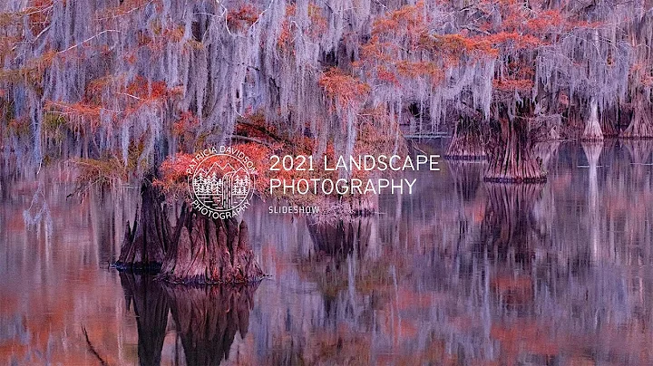 Patricia Davidson Photography || Landscape Photogr...
