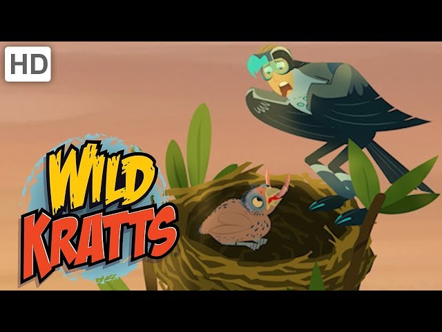 Wild Kratts 🦁👔 Animal Dads | Father's Day | Kids Videos class=