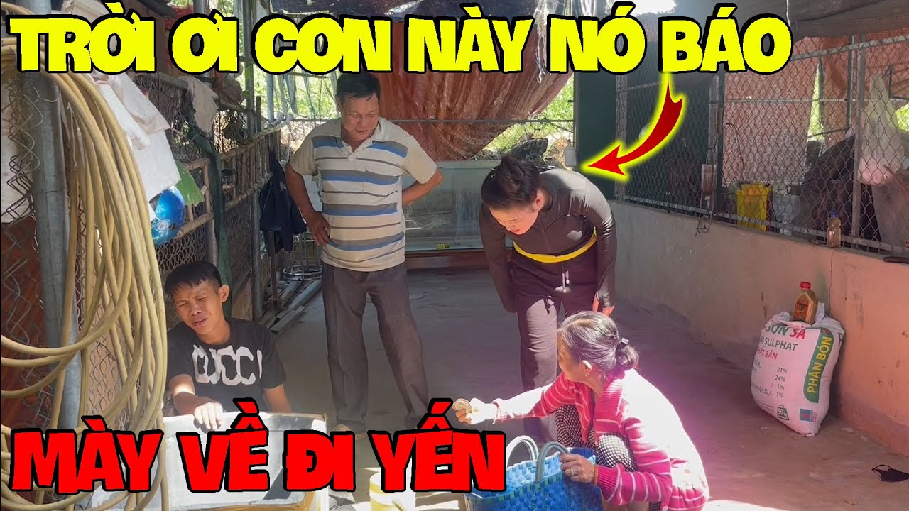 Tao Hù Chơi Mà Mày Làm Thiệt Luôn Hã Yến