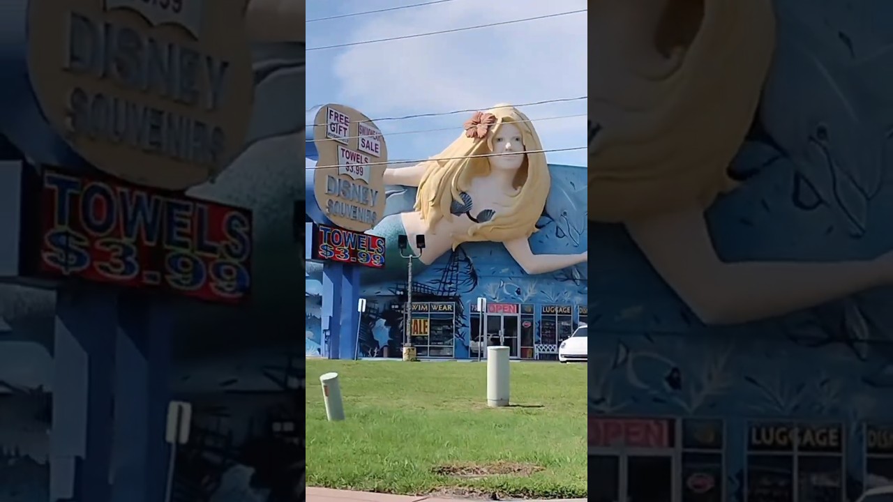 Check out these gift shops located in Florida. Cool huh? WATCH NOW! 