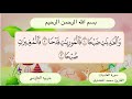 سورة العاديات 1 3 mp3
