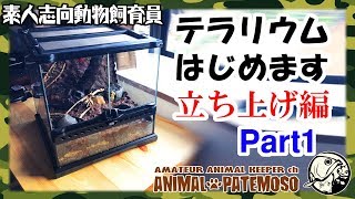 テラリウムをはじめるのだ！立ち上げ編Part1