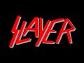 Slayer - Cleanse The Soul