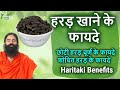 छ ट हरड क फ यद Harad Ke Fayde Baba Ramdev Chhoti Kali Harad Khane Ke Fayde Haritaki Benefits छ ट हरड क फ यद Harad Ke Fayde Baba Ramdev Chhoti Kali Harad Khane Ke Fayde Haritaki Benefits